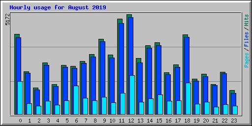 Hourly usage for August 2019