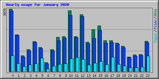 Hourly usage for January 2020