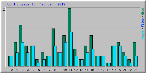Hourly usage for February 2019