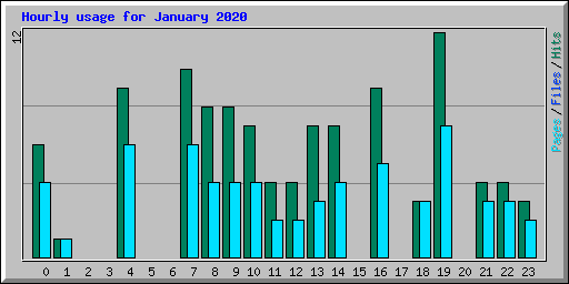 Hourly usage for January 2020