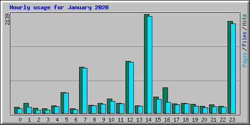 Hourly usage for January 2020
